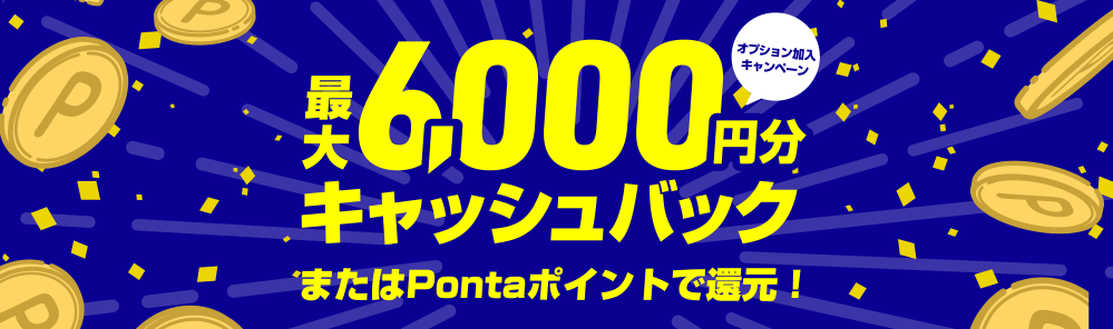 オプション加入キャンペーン-コミュファ光新規お申し込みサイト